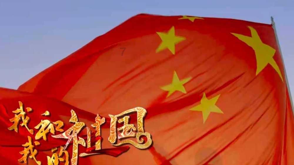 可怜猫的救援